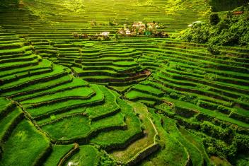 Reis Terrassen auf den Philippinen